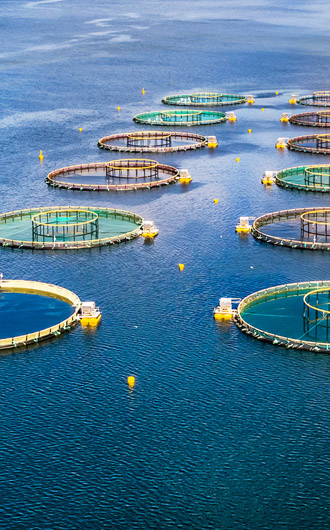 水產(chǎn)養(yǎng)殖監(jiān)測(cè)解決方案