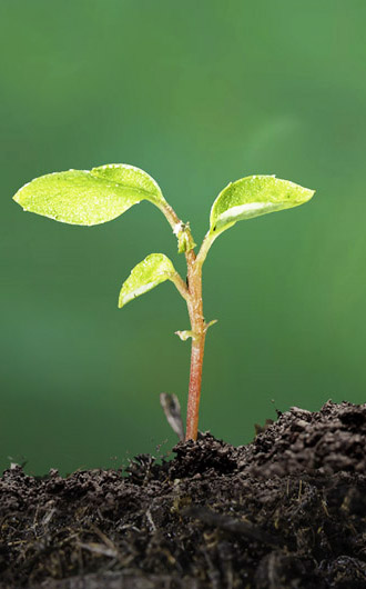 農(nóng)業(yè)灌溉水質(zhì)監(jiān)測(cè)方案