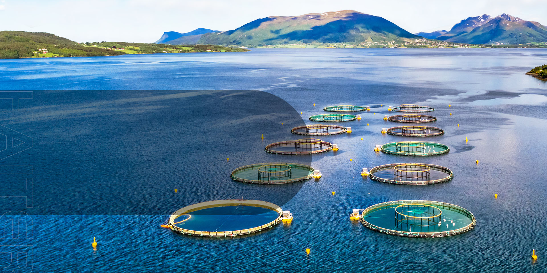 水產(chǎn)養(yǎng)殖水質(zhì)監(jiān)測(cè)設(shè)備